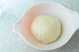 bread dough before rising in bowl