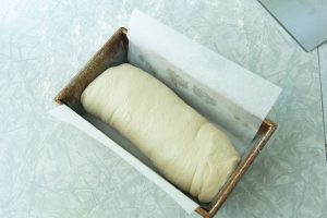 bread dough in loaf pan