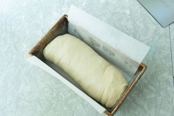 bread dough in loaf pan