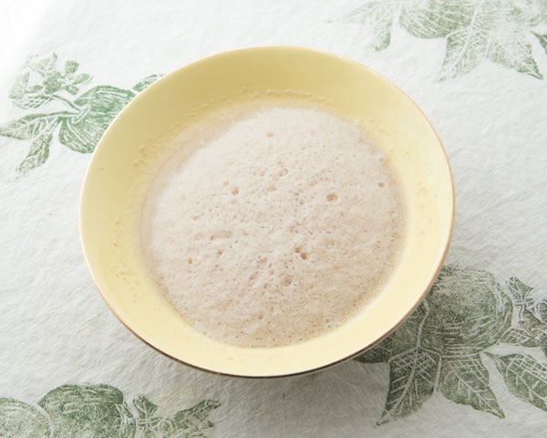 yeast and water in bowl