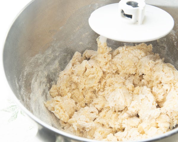rough dough before kneading with dough hook in bowl