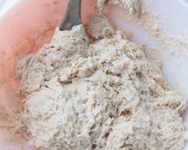shaggy whole wheat dough