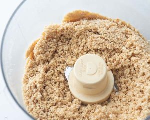 ground cashews in food processor