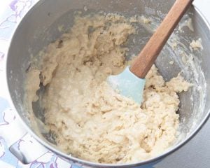 shaggy dough in bowl