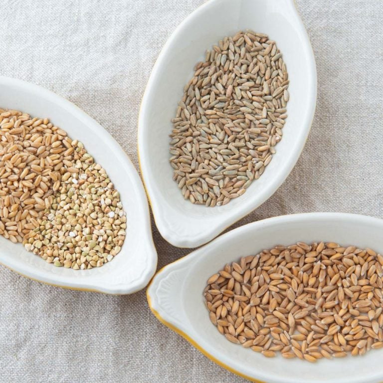 various whole grains