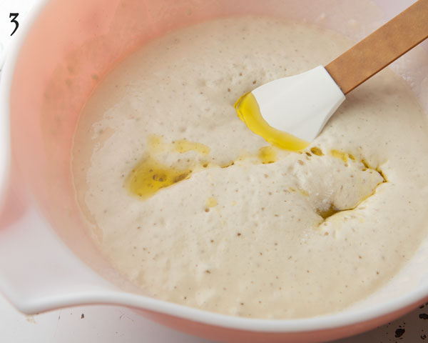 adding olive oil and salt to sponge starter