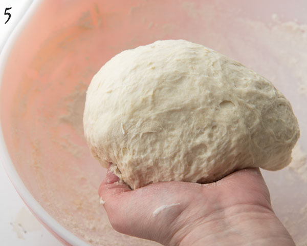 kneaded pita bread dough