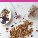 applesauce granola, jar, spoon, cup of blueberry yogurt