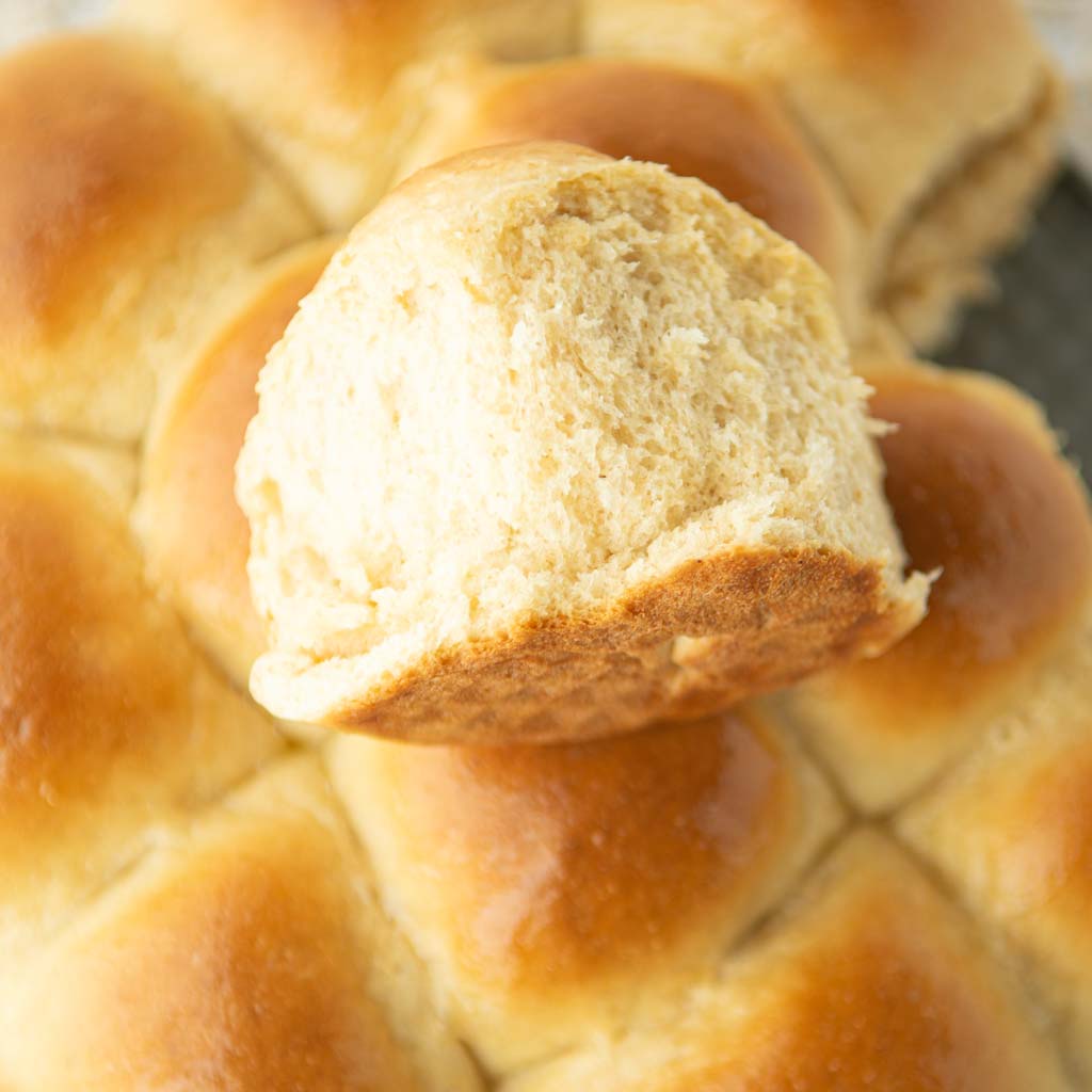 closeup of easy whole wheat dinner rolls