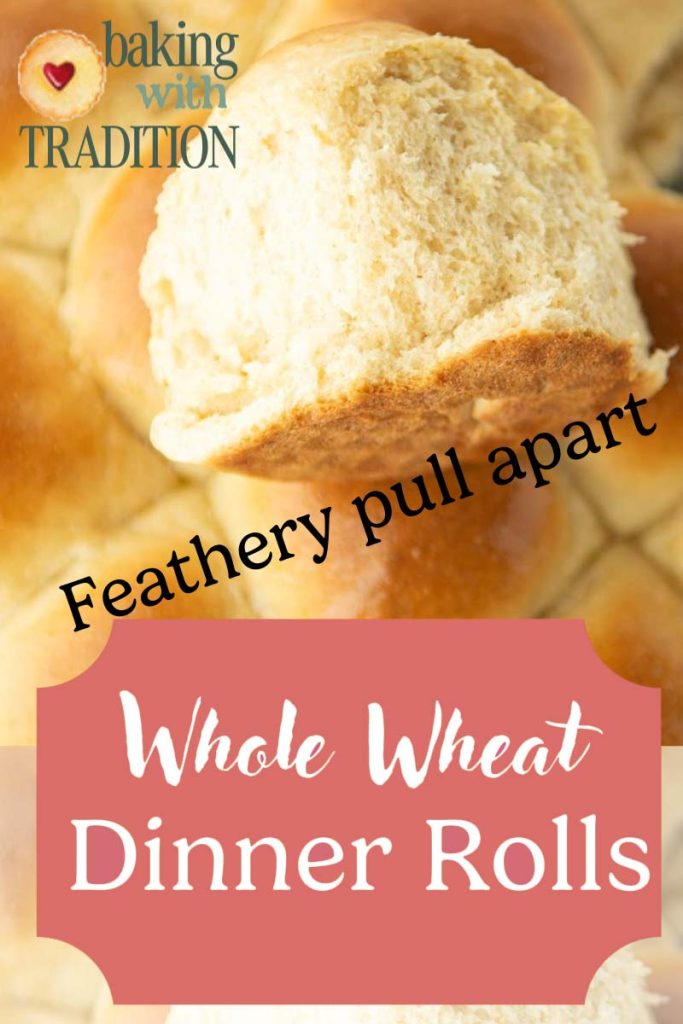 closeup of whole wheat dinner rolls