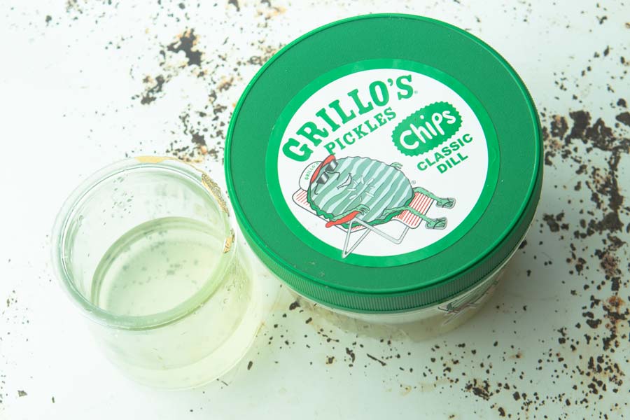 pickle juice and pickle container