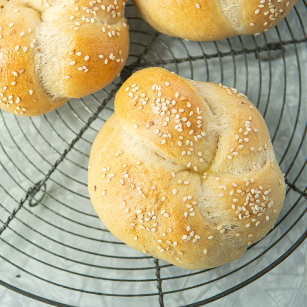 closeup of hamburger bun