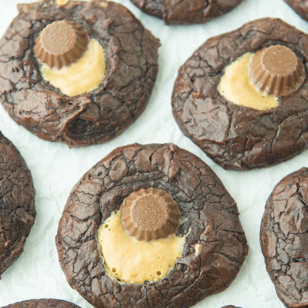 peanut butter brownie cookies