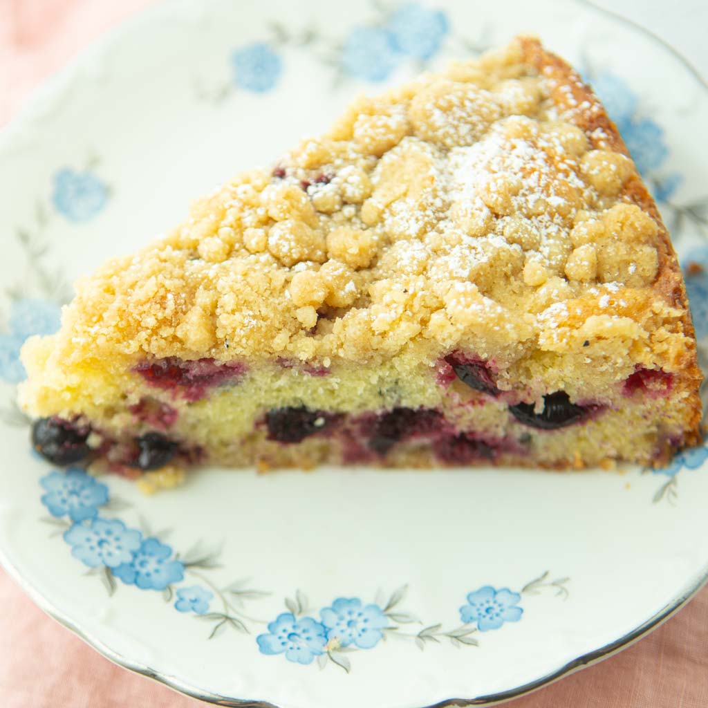 closeup of black currant cake