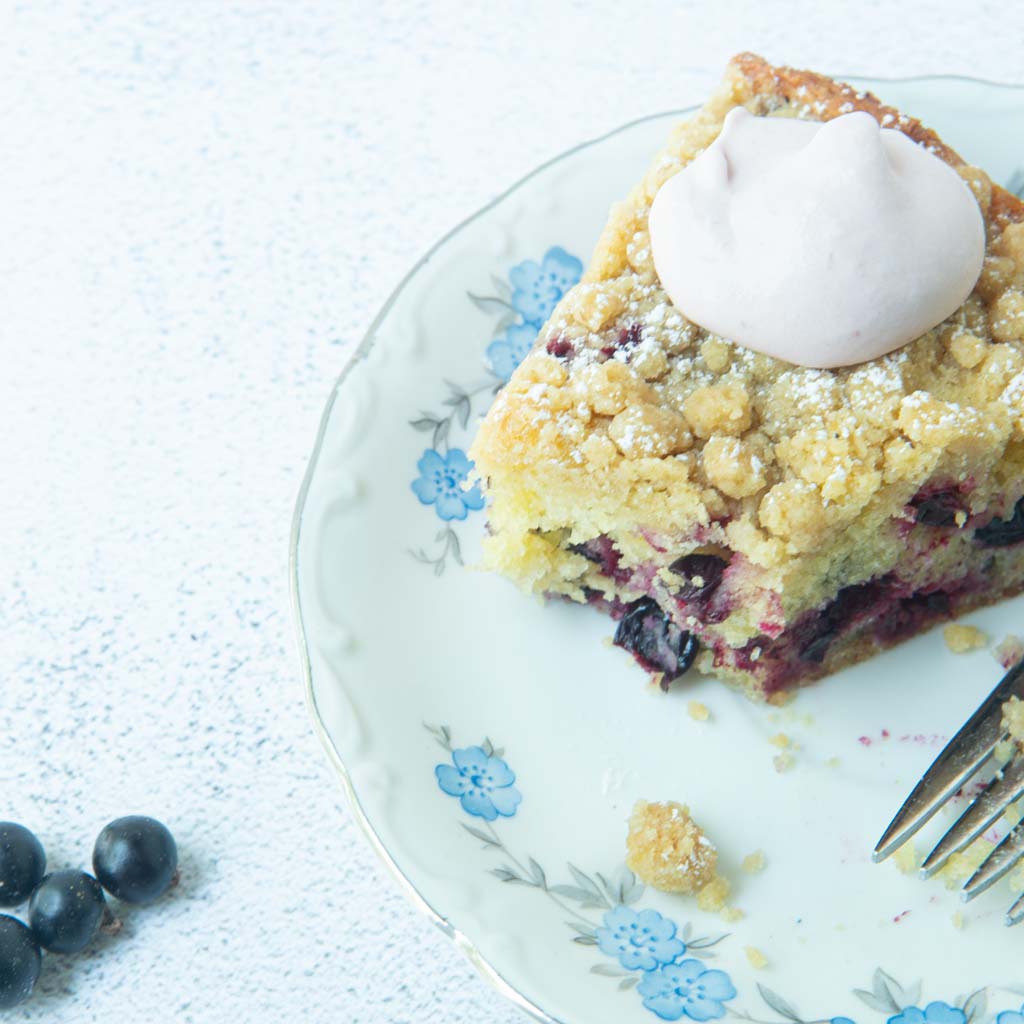 piece of black currant cake topped with raspberry whipped cream