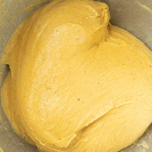 kneaded pumpkin roll dough