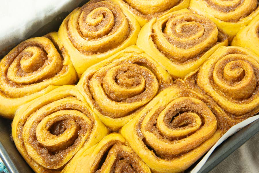 baked pumpkin cinnamon rolls