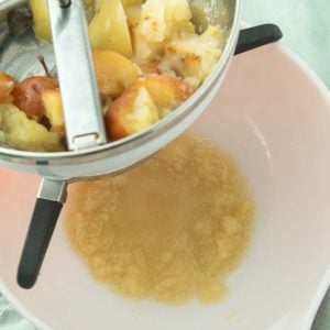 applesauce drained into bowl from food mill