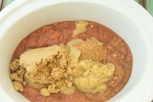 applesauce, brown sugar and spices in slow cooker