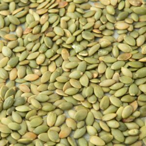 toasted pumpkin seeds