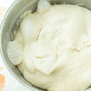 bubbly overnight pizza dough