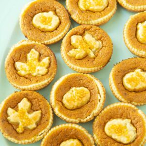 mini pumpkin pies