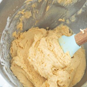 pumpkin snickerdoodle dough