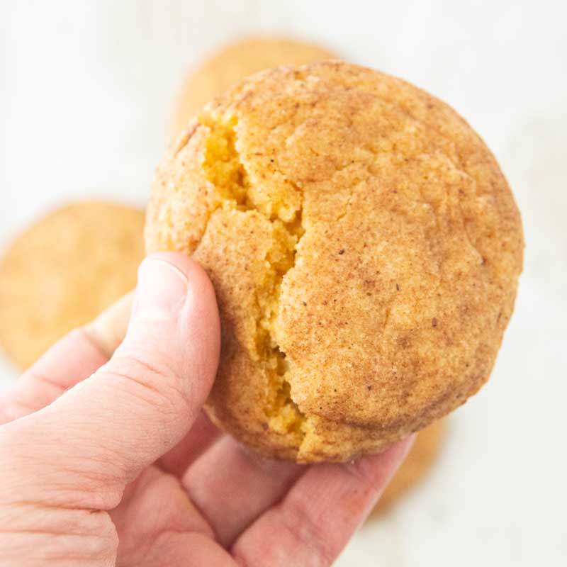 breaking pumpkin snickerdoodle in hand