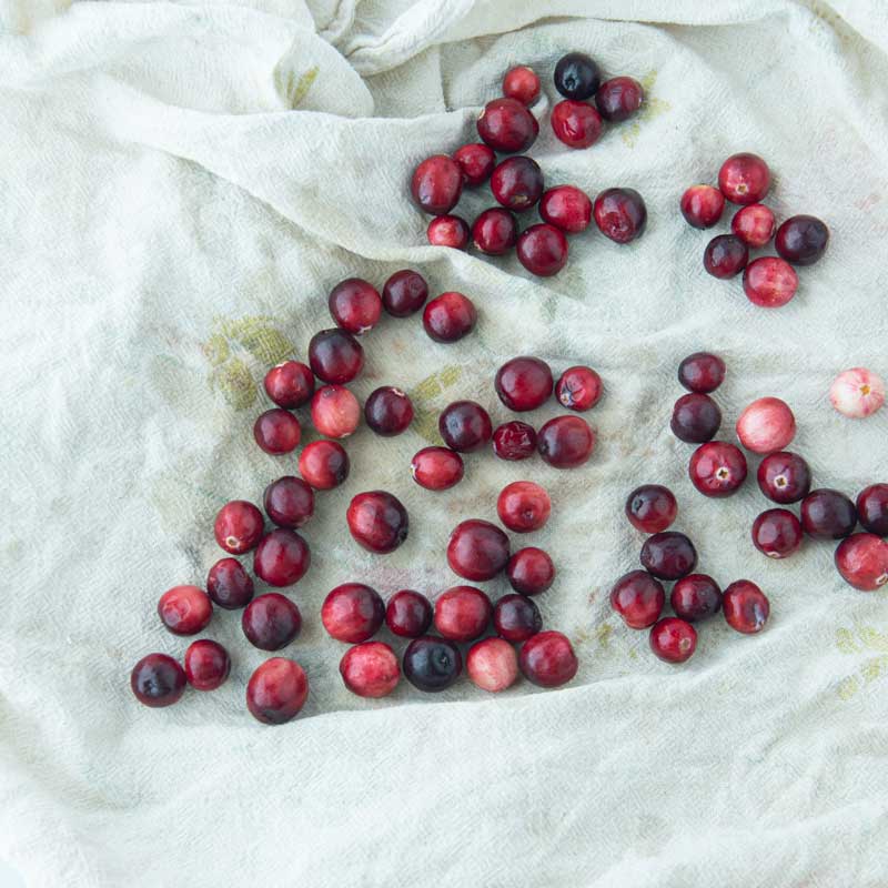 cranberries drying on a kitchen towel