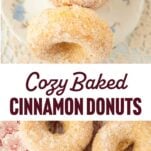 stack of cinnamon sugar donuts on plate, closeup of cinnamon sugar donuts, text overlay