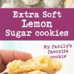 hand holding lemon sugar cookies, balls of lemon sugar cookie dough dipped in powdered sugar, text overlay