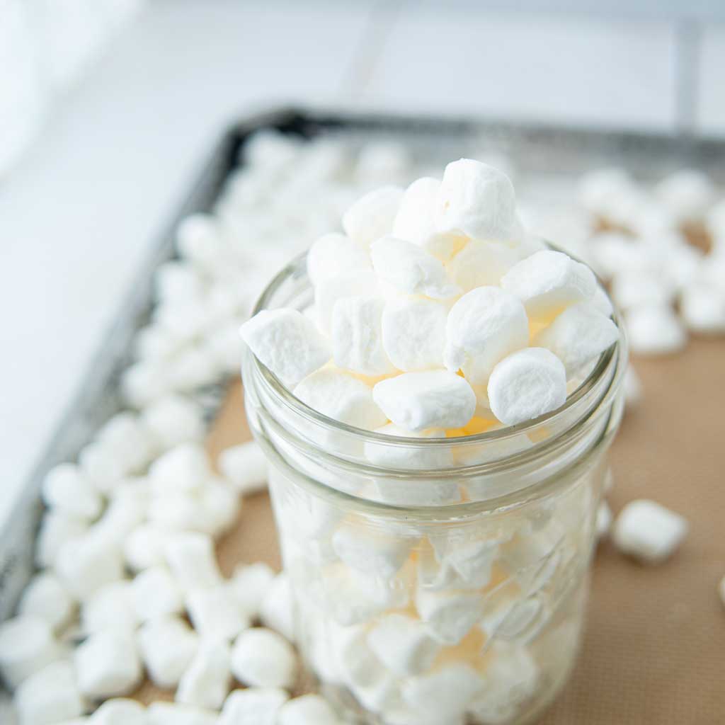 dehydrated marshmallows in jar on tray of marshmallows