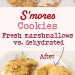 flat smores cookie vs perfectly baked smores cookie, text overlay