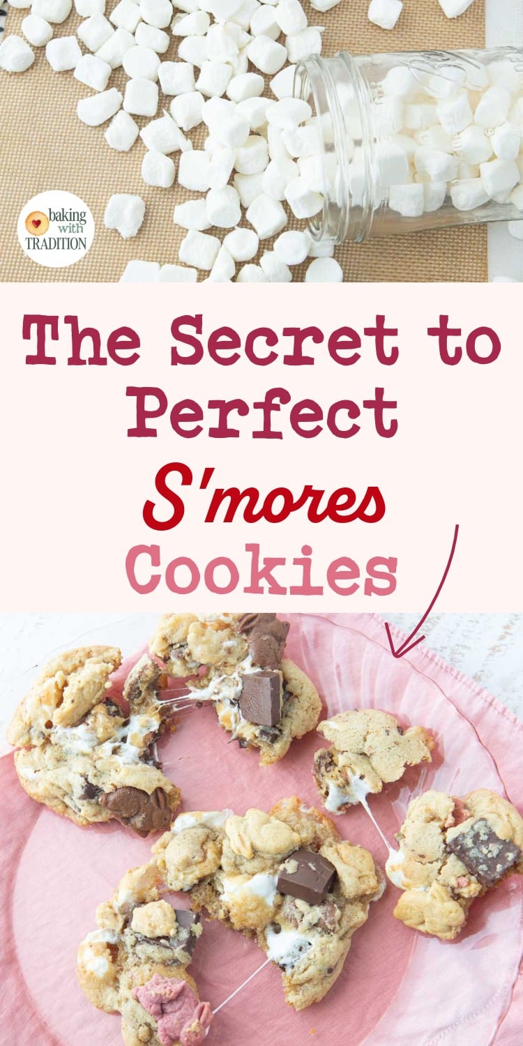 dehydrated marshmallows, smores cookies showing marshmallow pull on plate, text overlay