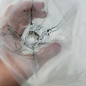 stripes of food coloring painted down pastry bag