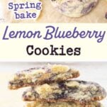 lemon blueberry cookies next to lemon slices and blueberries, cross-section stack of lemon blueberry cookies next to lemon slices and blueberries, text overlay
