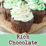 chocolate guinness cupcakes on cake turntable, text overlay