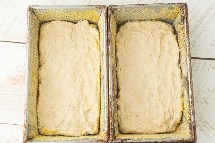 English muffin bread batter pressed into pans