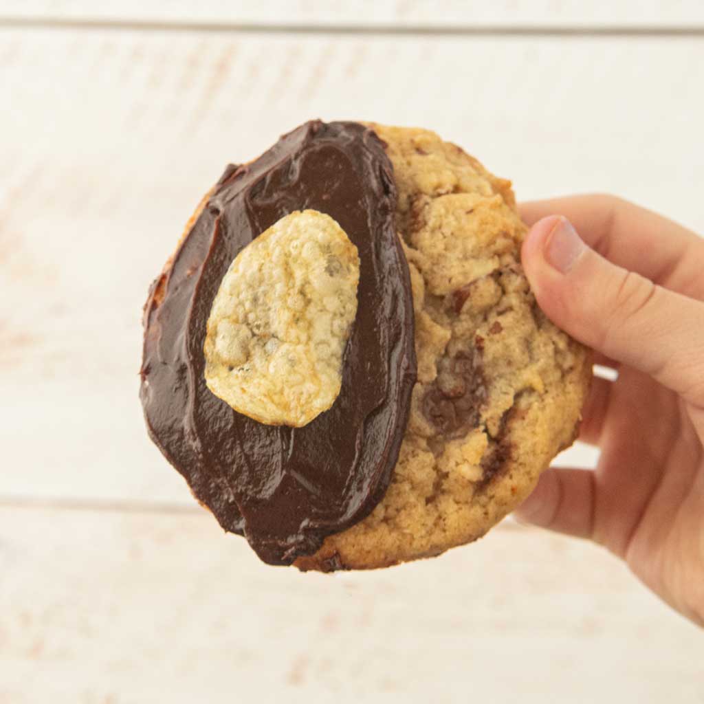 hand holding potato chip cookie