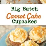 carrot cake cupcakes sprinkled with nuts and carrot shreds, carrot cake cupcakes on plate, text overlay