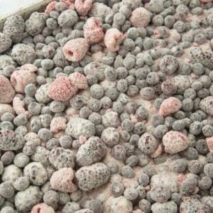 berries tossed with flour and sugar