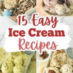 strawberry cheesecake ice cream, cookies and cream ice cream, peanut butter fudge ice cream, cherry almond ice cream, pistachio ice cream, butter pecan ice cram, chocolate caramel swirl ice cream, peach ice cream, text overlay