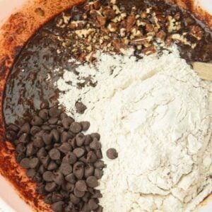 mixing flour, chocolate chips and pecans into batter