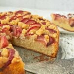 closeup of plum cake with streusel with slice cut from the cake, slice of plum cake out of frame, pie server