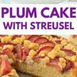 Pin graphic featuring a slice of plum cake on top and a whole sliced plum streusel cake below, with purple text reading "Plum Cake with Streusel."