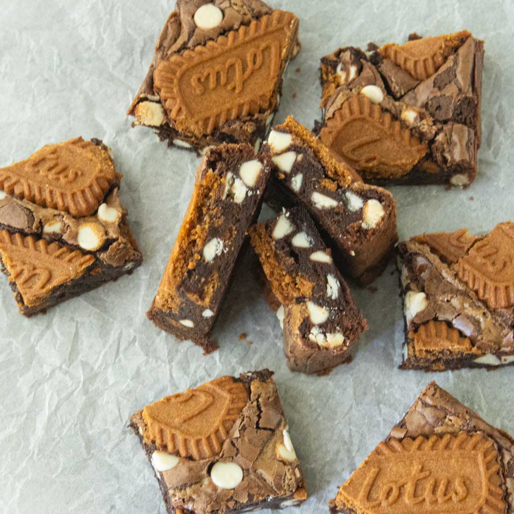 biscoff brownies cut showing top and sides of brownies