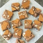 top view of cut biscoff brownies