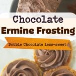 swirls of chocolate ermine frosting on backs of pumpkin oatmeal cookies, piping bag filled with chocolate ermine frosting, chocolate ermine frosting on spatula, text overlay